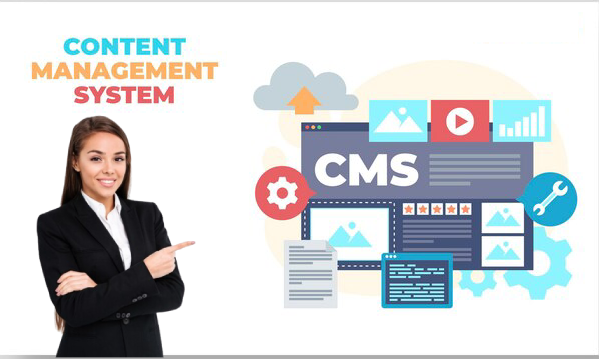 Why Your Business Needs Professional Website Management Services